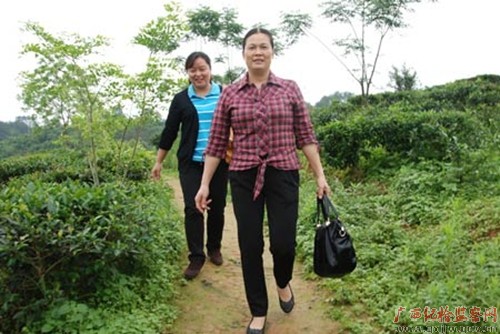 ��Ӭ�����֡����ǲ����ؼ�ί���������Ⱥ